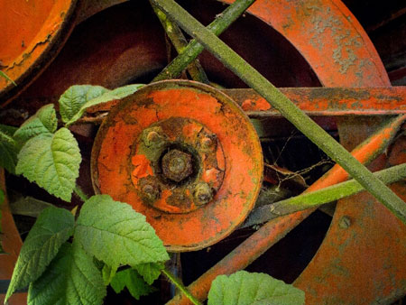 Aptina����o���͔��a���C�Ј��Ƴ�1800�f���ر����նȂ�����