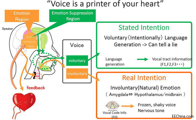 _R-car֧cocoro SB桱ܵ_l׼