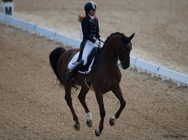 ���p����Ⱥ���o�׵����Ǻ����B���ѿ���