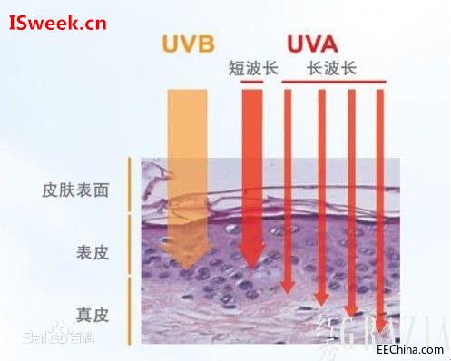 Ƥ�w�������⾀UVA�����I���еĂ�����