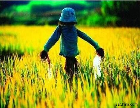 �؝�Ȃ�������(y��ng)�����ǻ۵������бO(ji��n)�y����