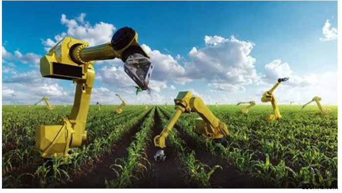 ���ʧ�I�᣿С�����ܙC���ˁ��ˣ�