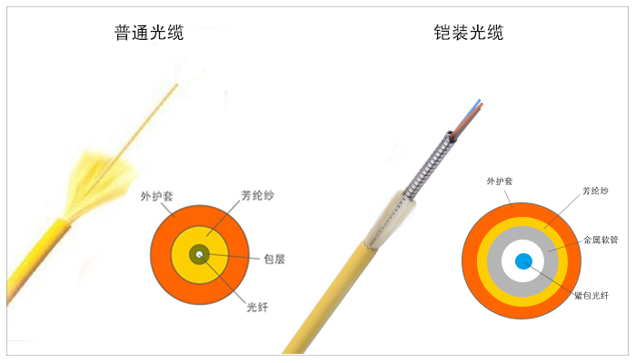 ʲô���z�b���w�������������c��