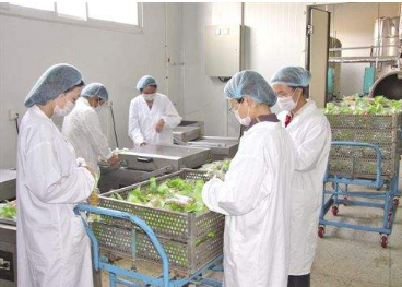 ʳƷ�ӹ��S�м���������Ͷ�����̼�������đ���