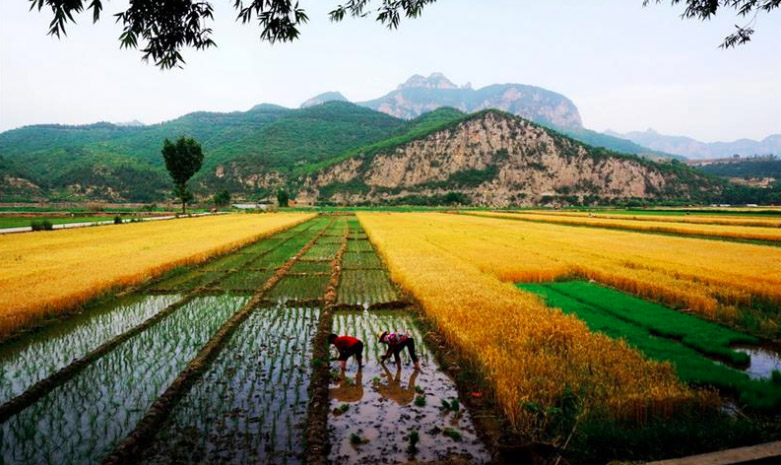 ˮ��pӋ��NFC�������кΑ����c���c