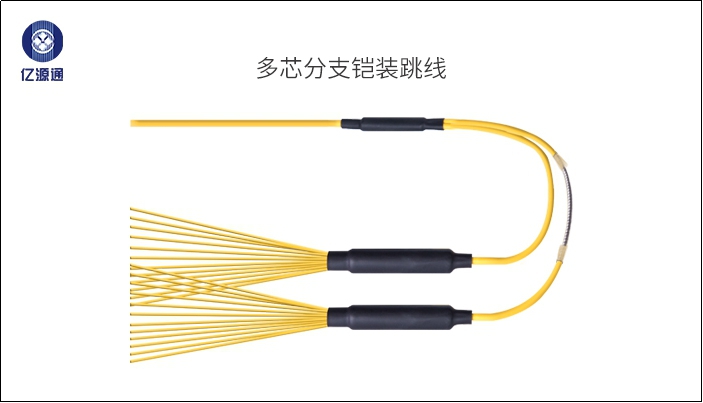 �z�b�����c��ͨ���w�����ą^�e