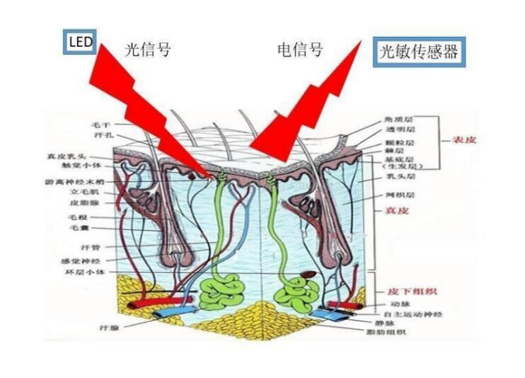 \ʹl(f)оƬڴO(sh)еđ(yng)