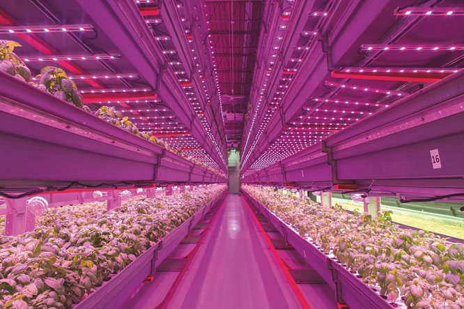 ~˹W˾ȫAS7343ͨVXYZgɫʜy졢ʡ