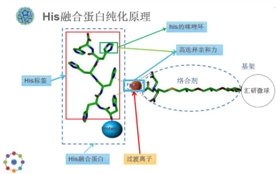 �����|�������⾀���շ������⾀���șz�y