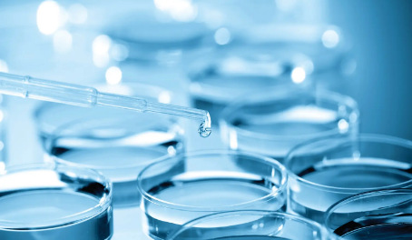 �ጧʽ������̼������XEN-3880���ڶ�����̼���B������