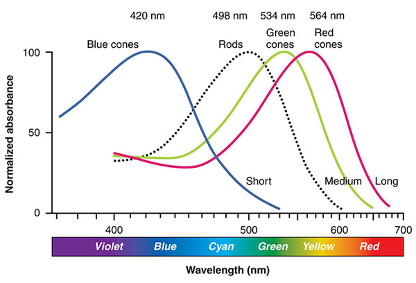ۣ֮¿ɫ͹Vο˂ҊĖ|