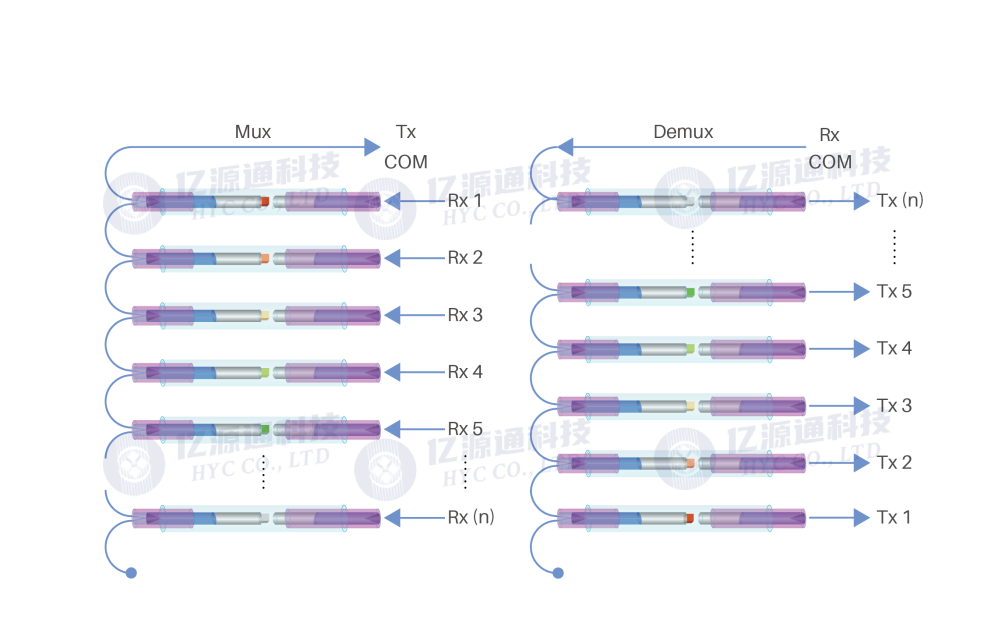 �������WDM���֏��ü��g��Uչ���w������