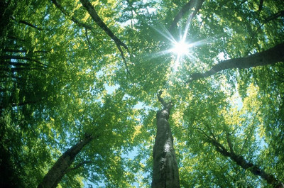 ��늂�����MS-410�����о�̫ꖻ�ӹ���ݗ��׃��