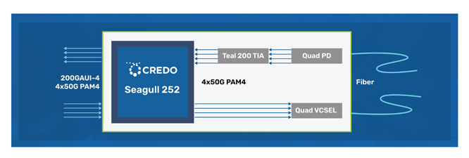 Credo�Ƴ�Seagull 452ϵ�и����ܹ�DSPоƬ������ͨ��/��ͨ��/�pͨ��DSP