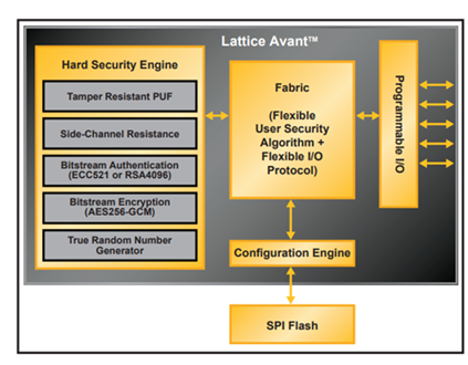 R˼Avant-Xl(wi)(sh)ǰ