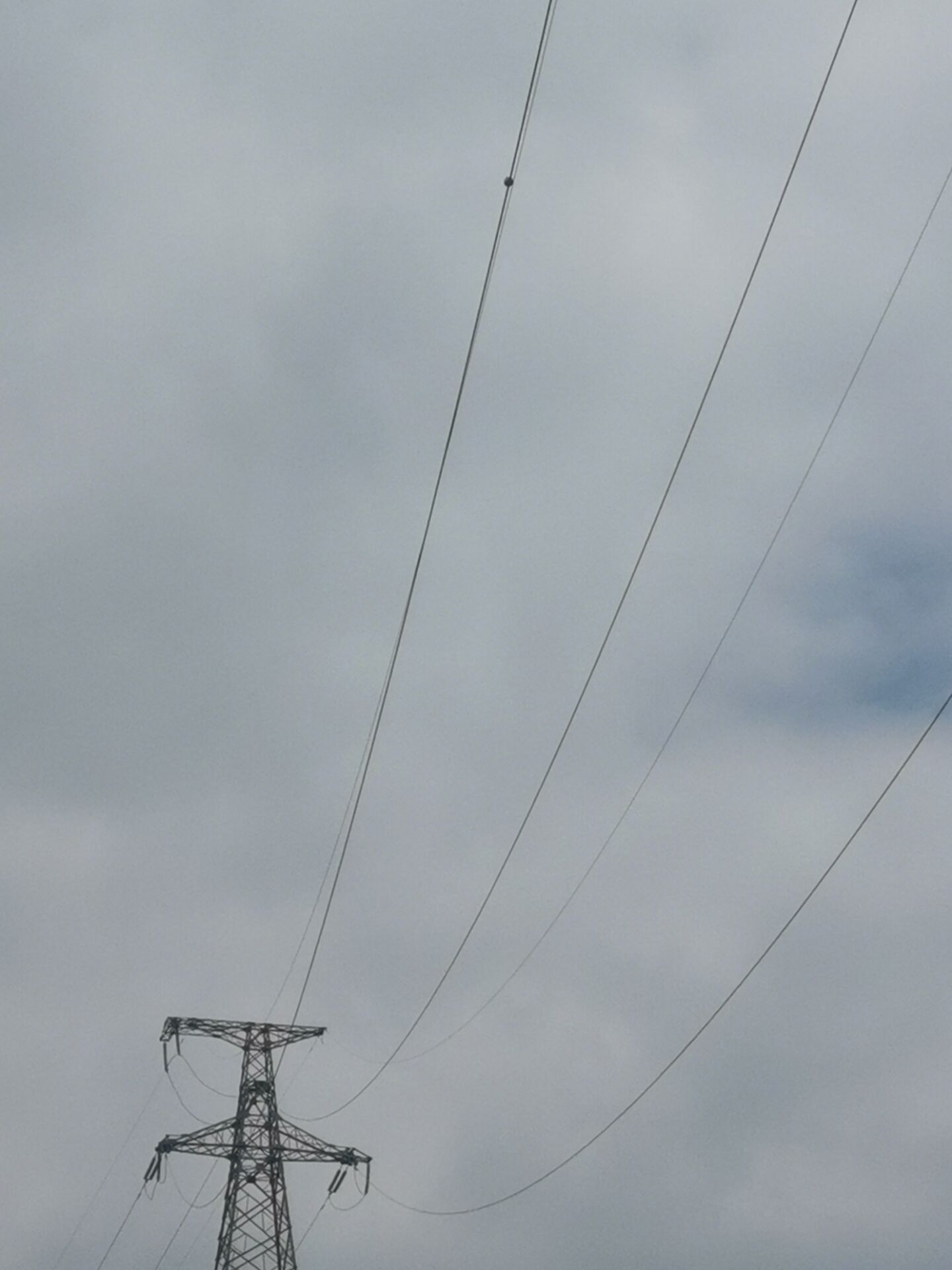 ֮Ƽ֮⣺ݔ늾·ھOybõҪ