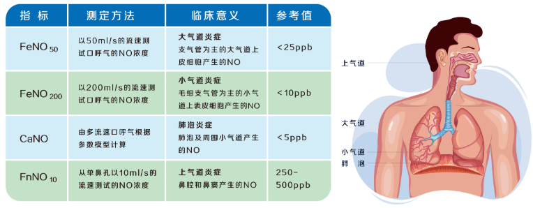 һFeNOzy(c)\͹đ(yng)