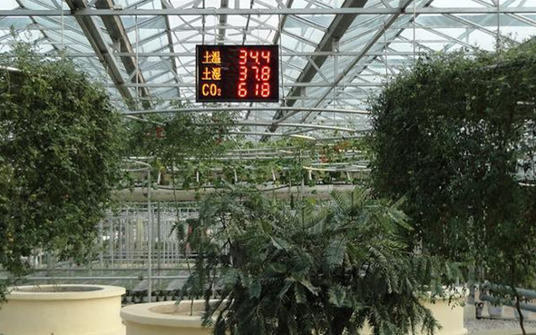 HC2A-S؝̽^ΎƜеĜ؝ȣ