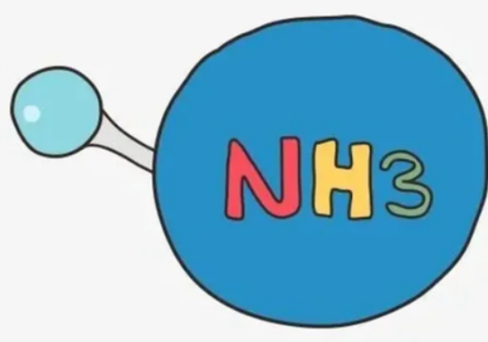 ⣨NH3ڸИI(y)(yng)еҪԡΣO(jin)yg(sh)