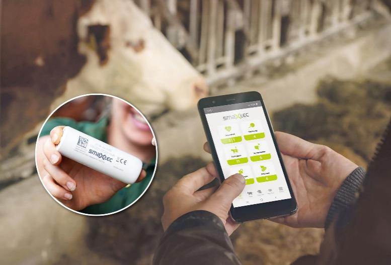 ~˹W˾Mĸ߾ȜضȂƄ｡