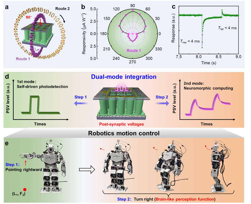 пԺF(tun)(du)ڵ扻ƬI(lng)ȡM(jn)չ