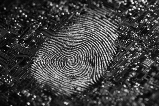 |D挍w򞣺TITAN HapticsԿƌWx|XOӋ