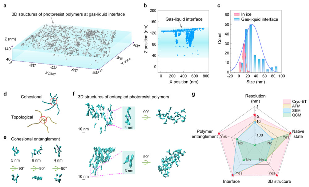 Fͻƹz΢^Yy}aоƬ콵ȱ