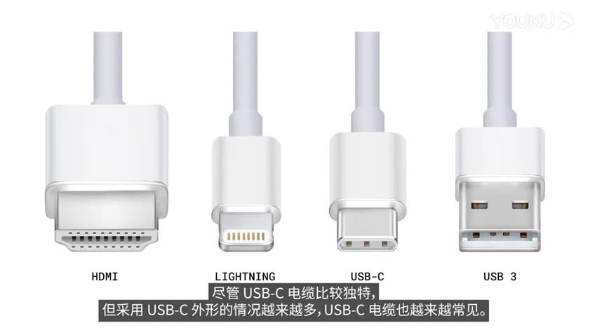 P(gun)USB Type-C11`⣨1֣ҕl